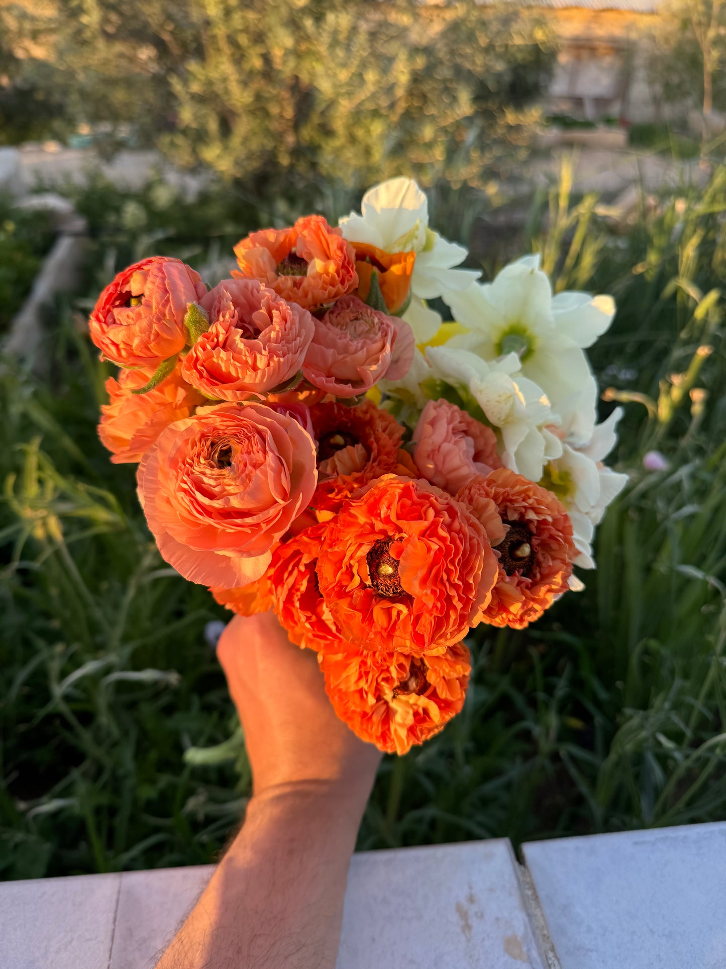 باقة ازهار