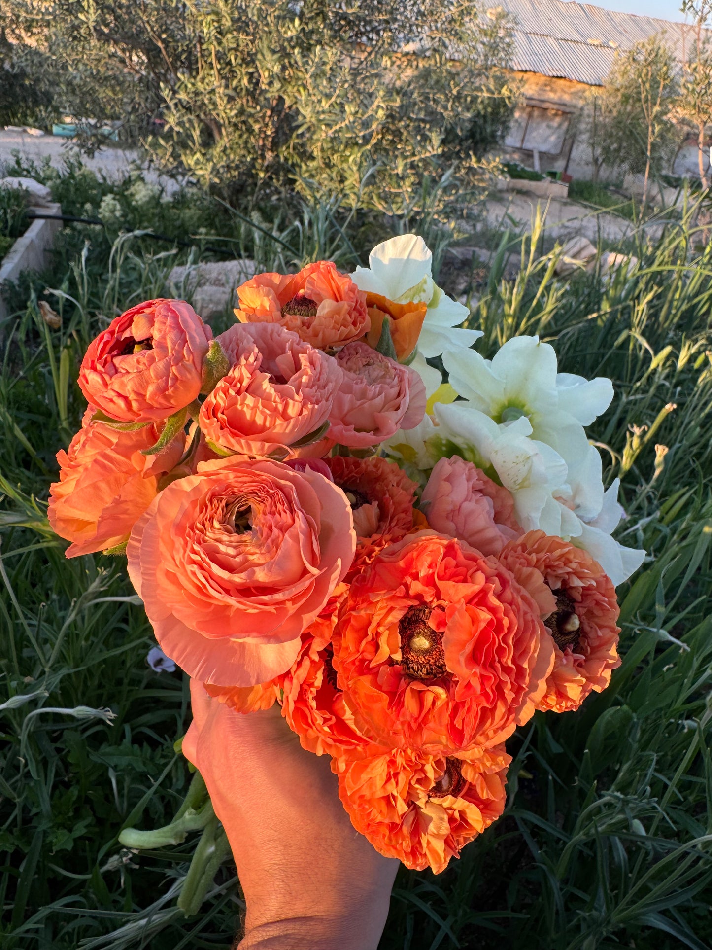 باقة ازهار