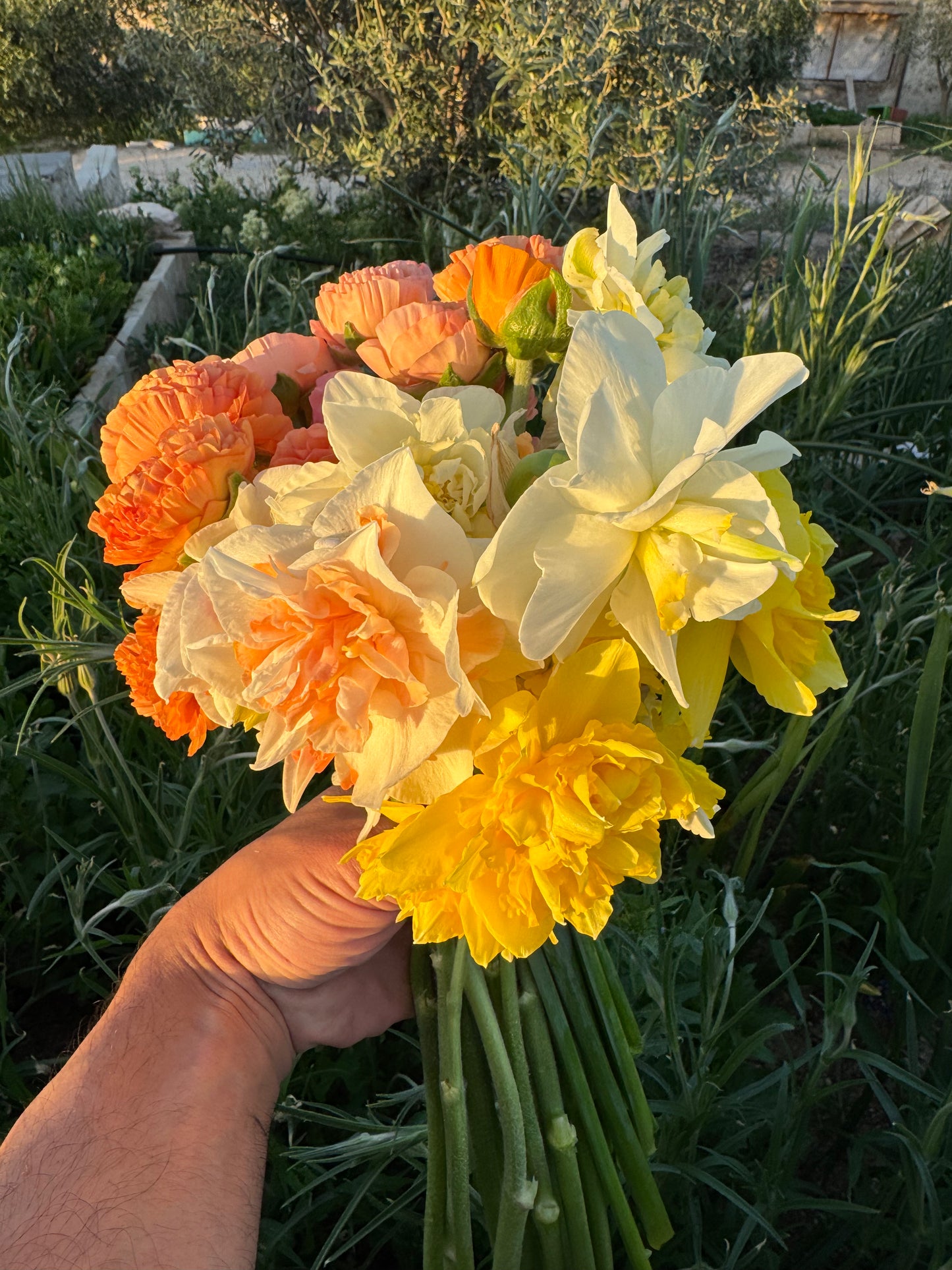 باقة ازهار