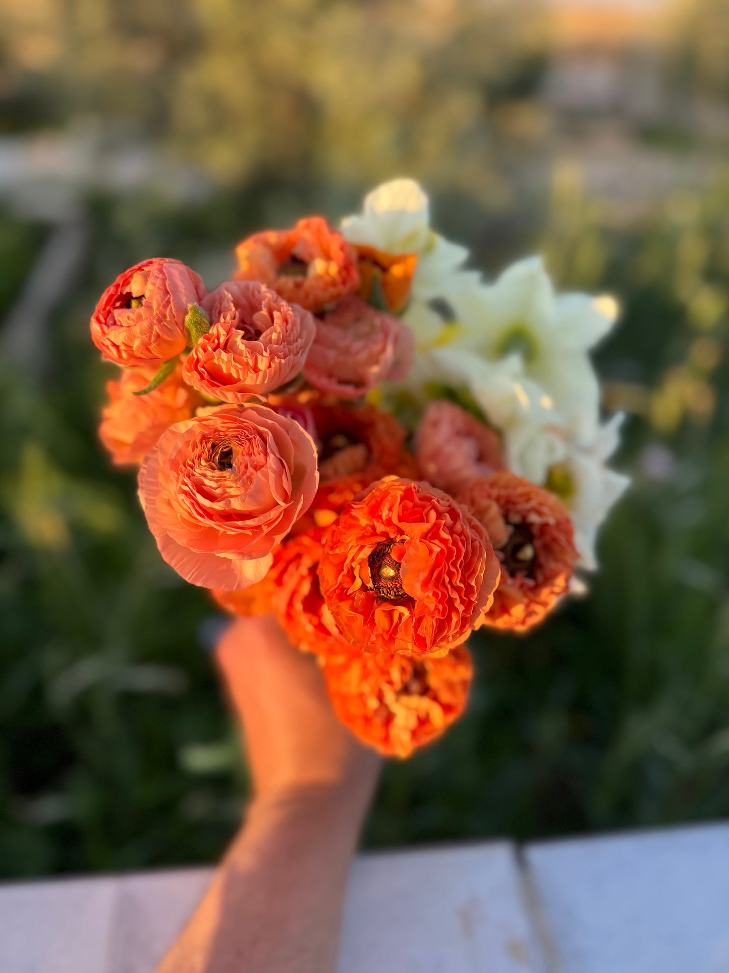 باقة ازهار
