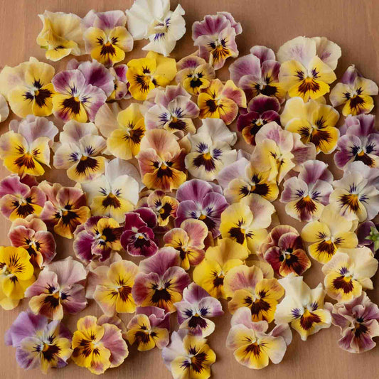 Pansy & Viola Tapestry Mix